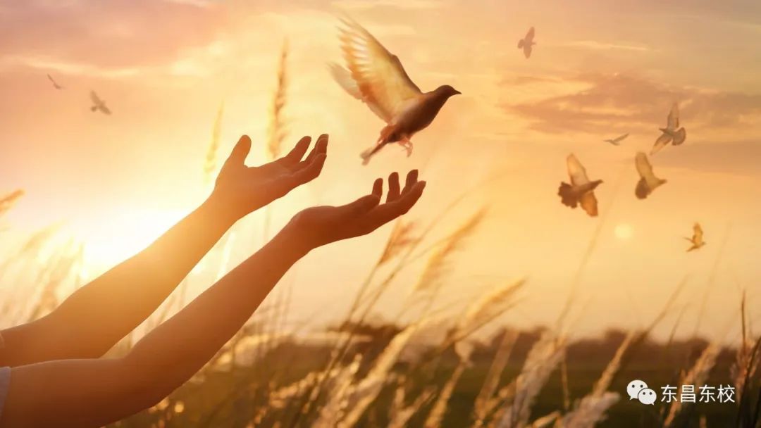 东昌路小学毕业老师对大家说的话,聊城开发区东昌东校优秀毕业生