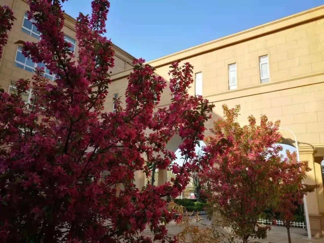 天津梅江中学高中部怎么样,天津静海高级中学