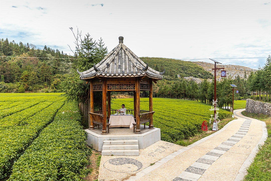 中国黑茶博物馆吉尼斯纪录,世界茶王黑茶