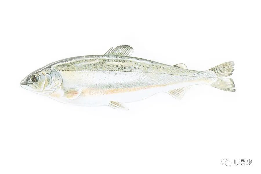 挪威和中国签订协议,挪威希望与中国加强合作