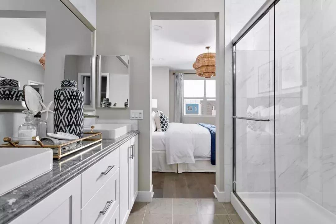 安纳海姆中心,安纳海姆迪士尼