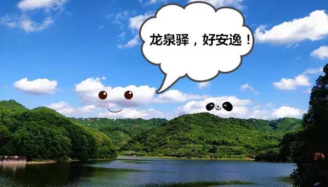 我说龙泉驿，你说好安逸！这座城的命运，正被幸福改写