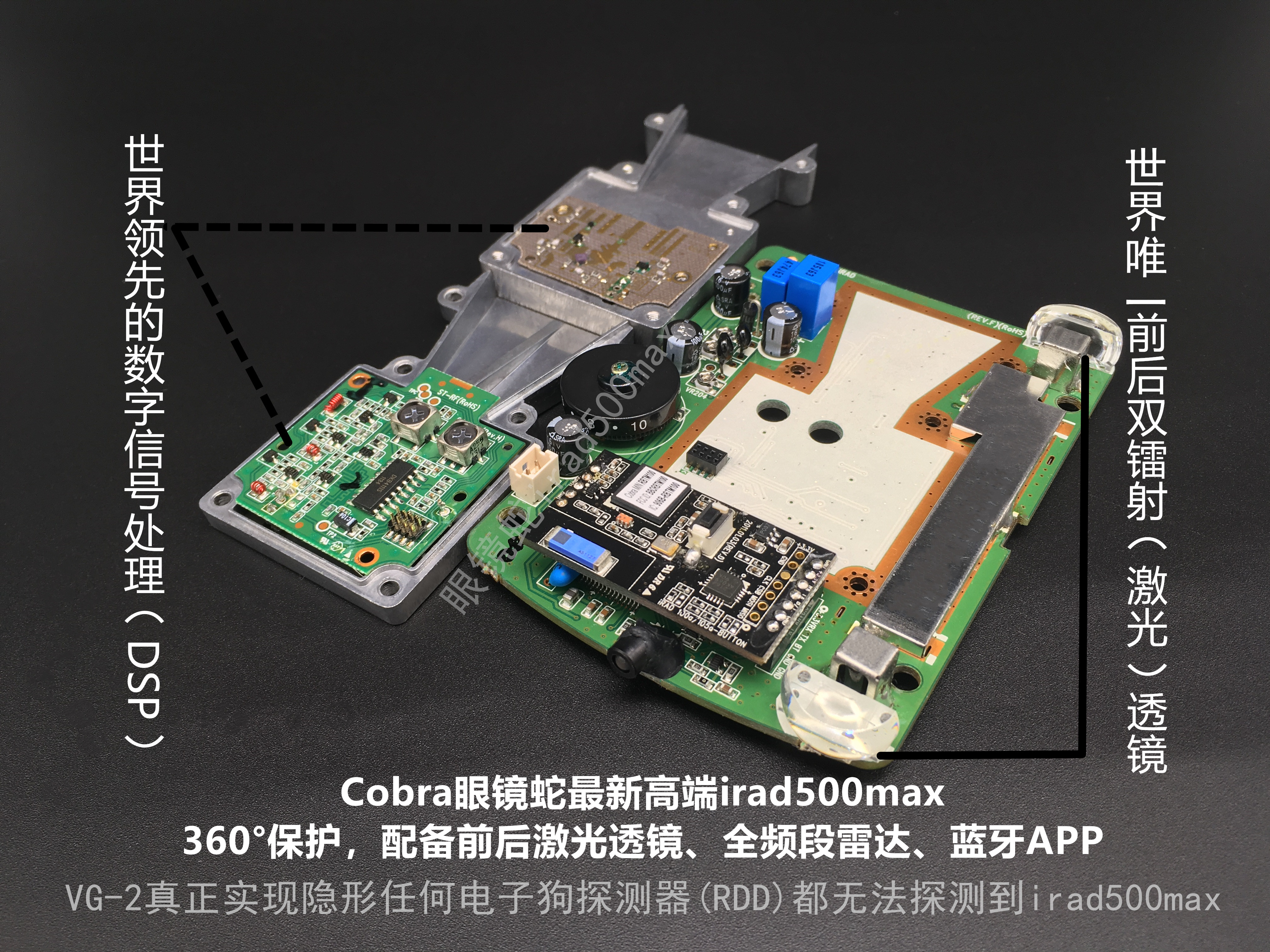 眼镜蛇和狗的大战,眼镜蛇狗