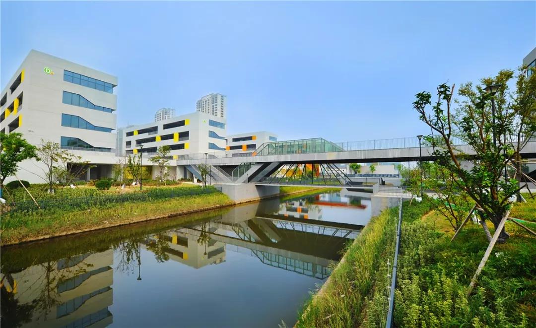 杭州湾新区的未来发展已成定局,为什么选择杭州湾新区