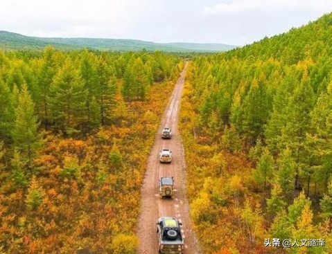 东北大兴安岭林业局房价,林场买房