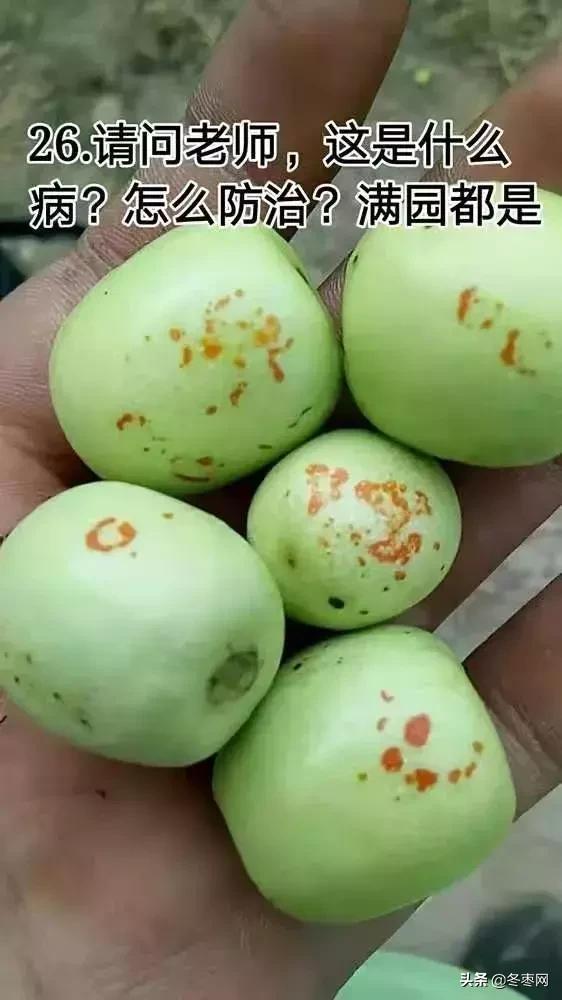 鐢叉祦鍗婁釜鏈堥蓟瀛愪笉閫忔皵鎬庝箞鍥炰簨,鐢插彛涓嶆剤鍚堟槸鎬庝箞鍥炰簨