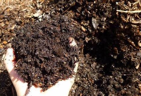 怎样制作适合花草生长的营养土,自制单纯种菜营养土最简单方法