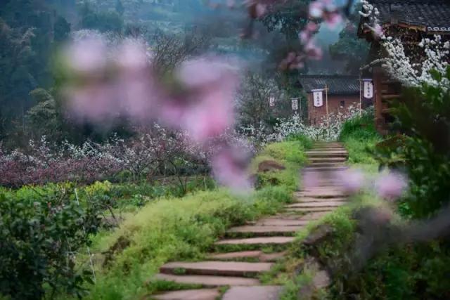 李子柒令人向往的世外桃源生活,李子柒记录的简单淳朴的田园生活