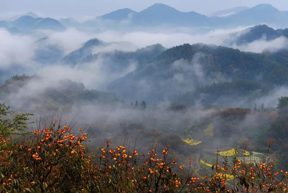 一个普通人怎样才能致富,普通人如何才能发家致富