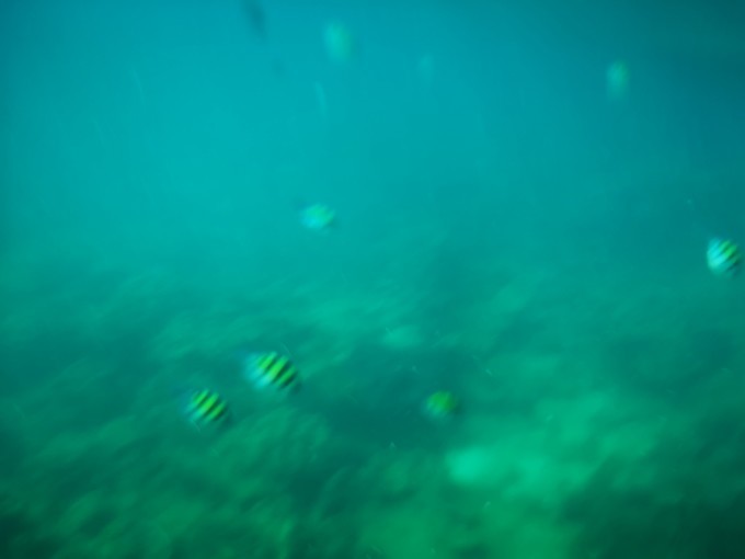 蛋岛蜜月岛,蜜月岛皮皮岛蛋岛一日游