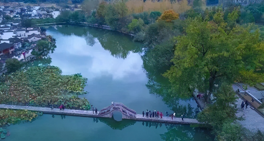 带着狗子旅行推荐,带着狗狗游新疆