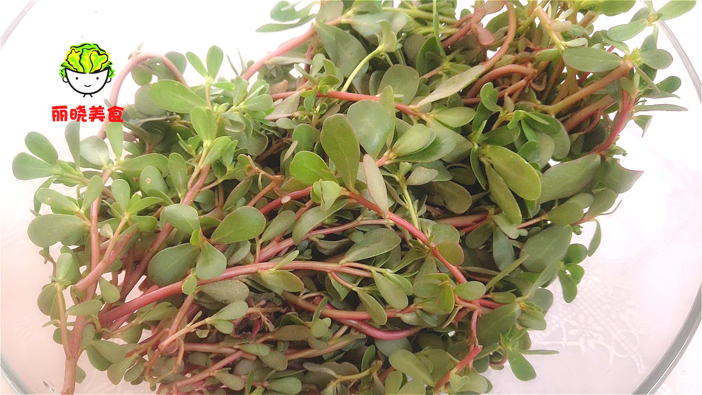 马齿苋怎么样做面食才最好吃,马齿苋和面粉一起烙饼