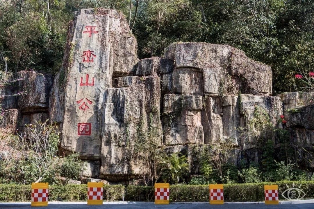 深圳免费一日游好去处推荐,深圳一日游好去处推荐老人