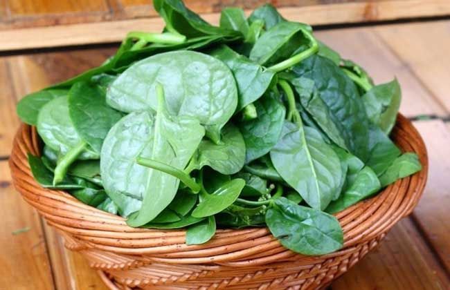 坐月子吃了什么会导致胃不舒服,坐月子吃了坏东西怎么办