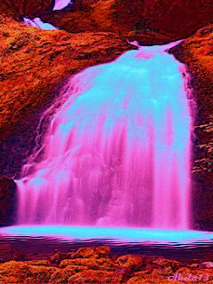 几十张绝美的图,绝美花的倒影100张图片