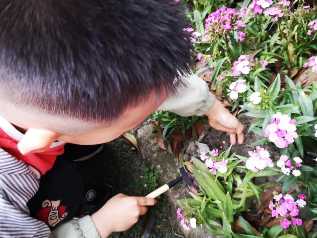 成都市双流区胜利幼儿园主题活动,天府新区幼儿园活动