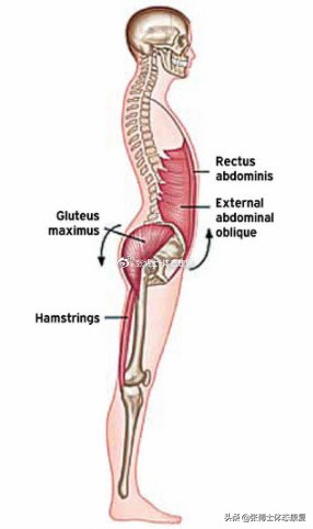 体态矫正训练o型腿扁平足,体态矫正x型腿