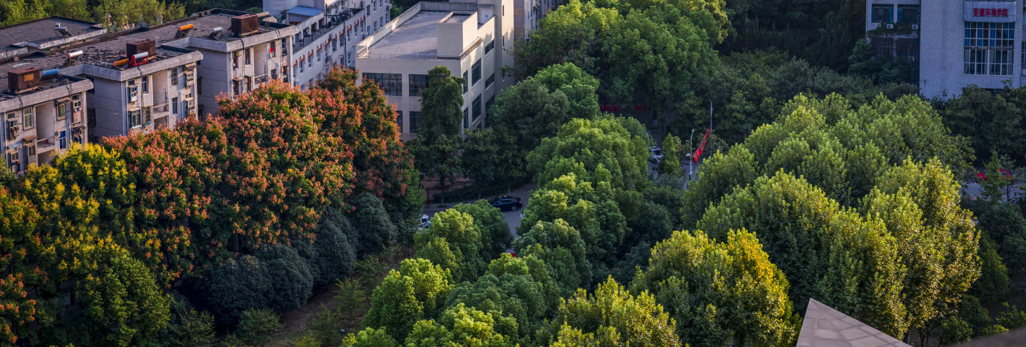 电影反哺摄影——老北京拍湖北大学（二）