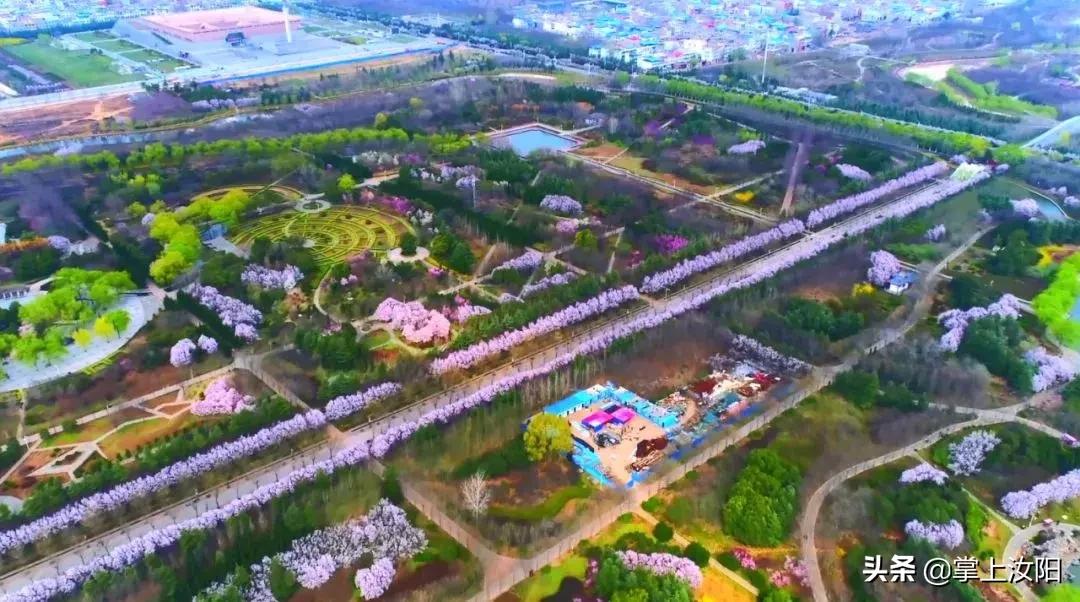 2024年洛阳民生重点工作,2024洛阳市民生实事