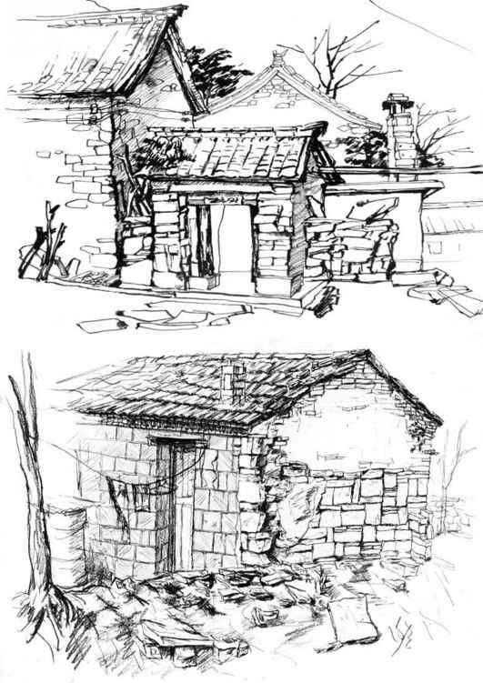 速写风景初学者入门教程,速写风景初学者入门教程植物