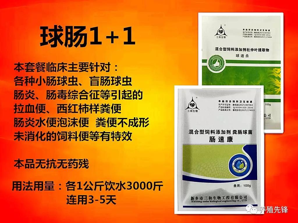 蛋鸡产蛋高峰管理方法,蛋鸡产蛋高峰期怎么养