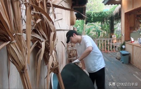 蘑菇屋导演复盘,蘑菇屋导演谈苏醒