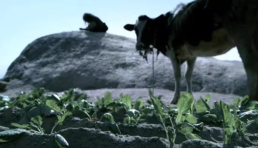 黄渤巅峰之作,黄渤的巅峰之作完整版