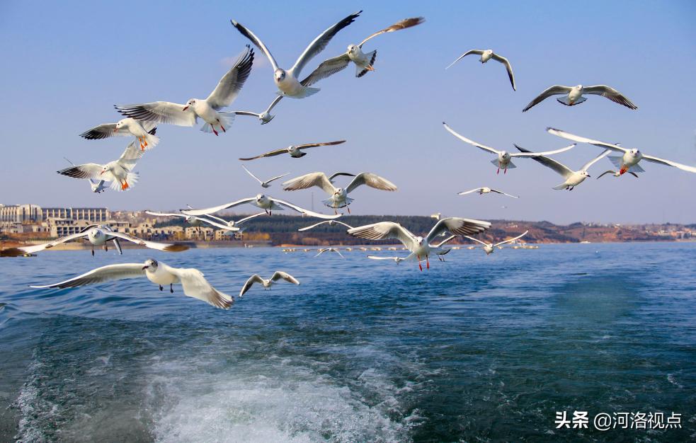 嵩县河道综合治理及景观开发,嵩县环境保护