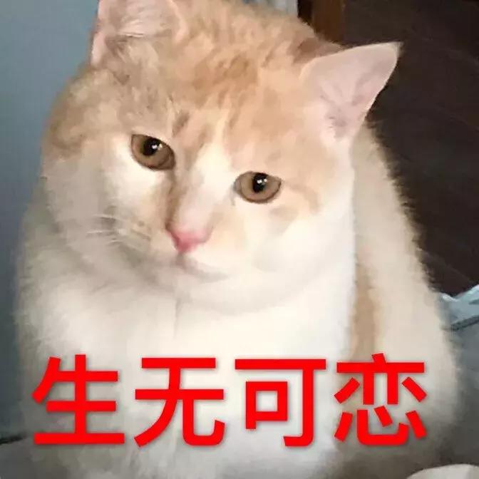 景点门票团购1月,景点特价优惠票