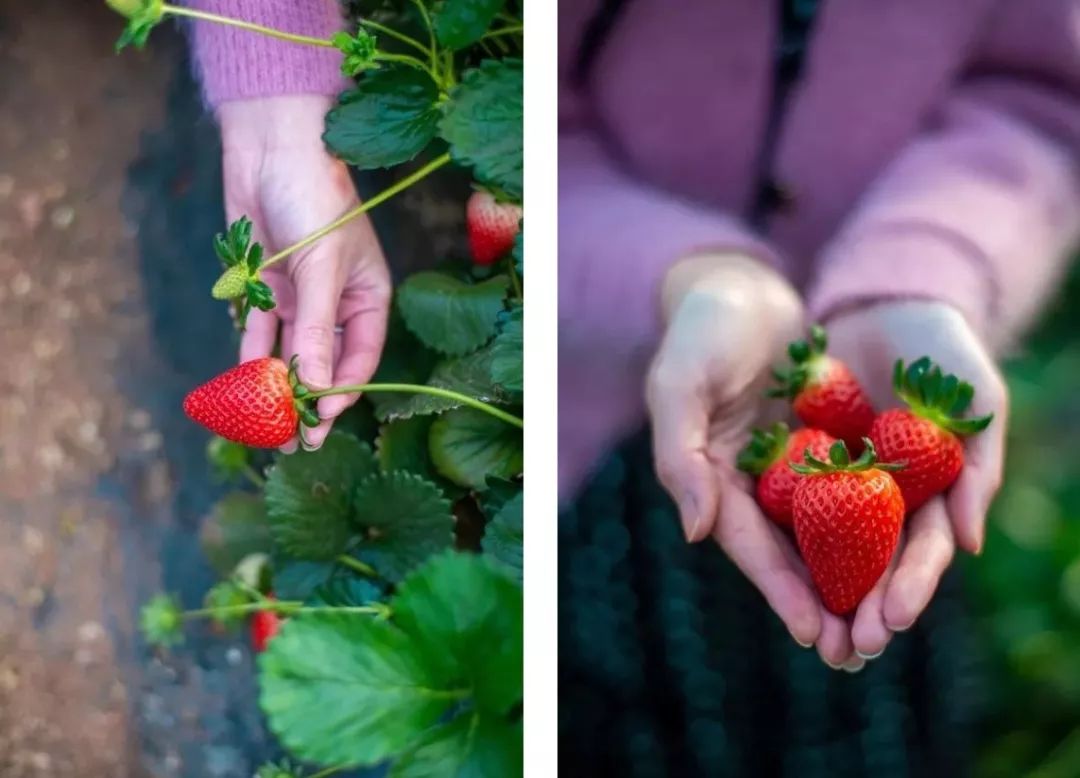 隐匿于大连的这片清澈之地，看的是蓝天白云，呼吸的是草木芬芳