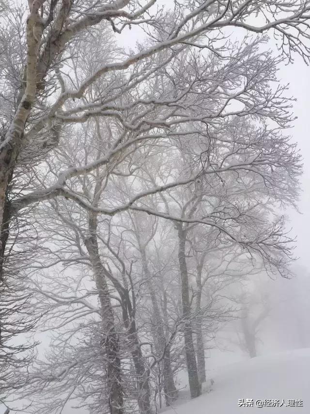 一位旅日游客，4天时间，万字长文，记录思考日本社会的崛起背后