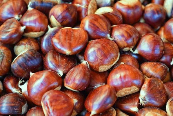 电饭锅怎么煮板栗好吃板栗好剥壳,板栗怎么煮好剥壳又好吃煮几分钟