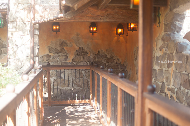 上海迪士尼攻略超详细最新 (你不知道的迪士尼隐藏玩法)