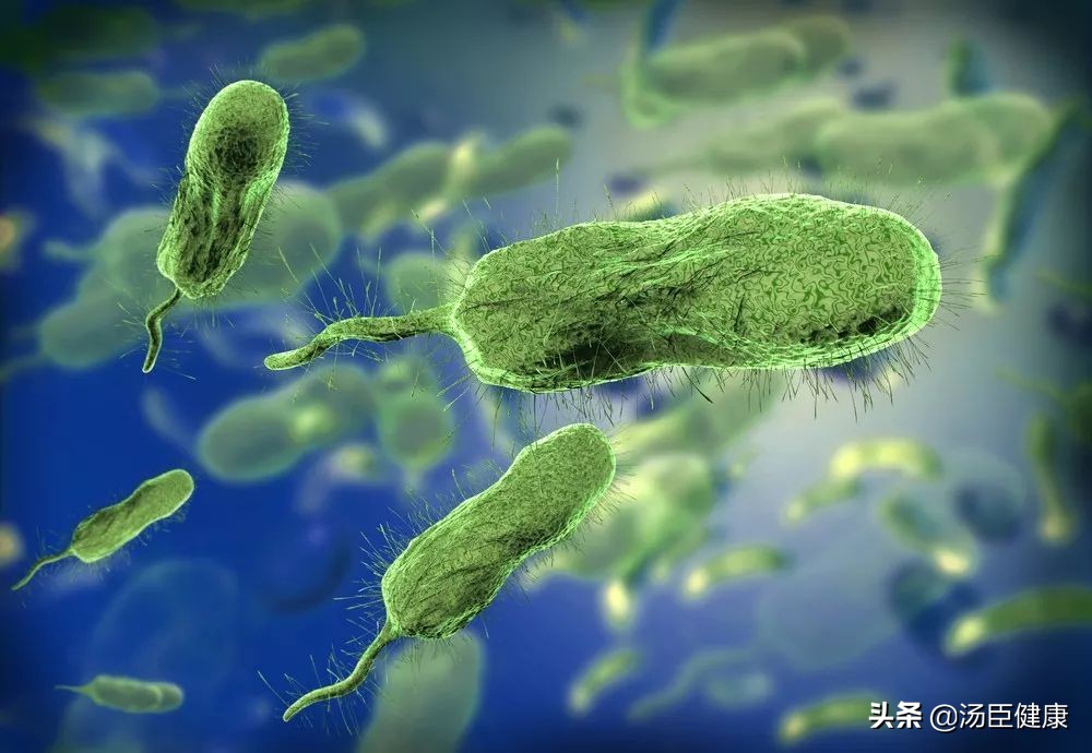 一只螃蟹把一个人吃得只剩下半身,一只螃蟹把另一只螃蟹给吃了