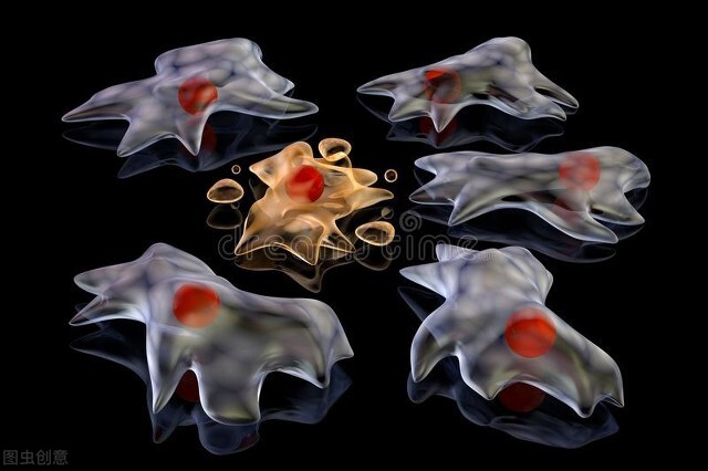 没有梦想的人生是不完整的,没有梦想的人生是平庸的问题