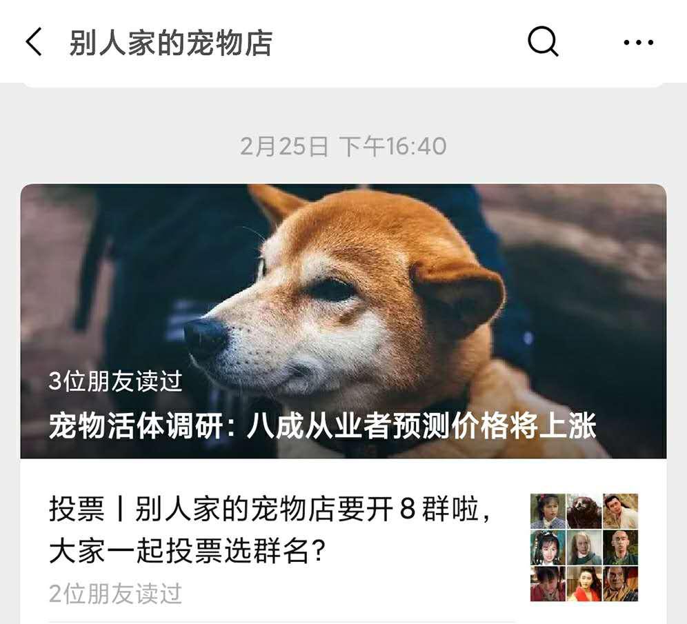 新增9群丨大家期盼的“神雕群”来了