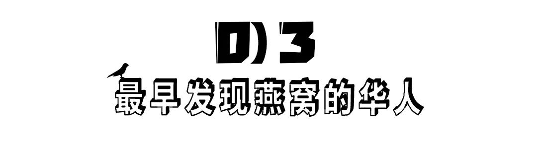 燕窝的故事大全视频,燕窝相关的故事