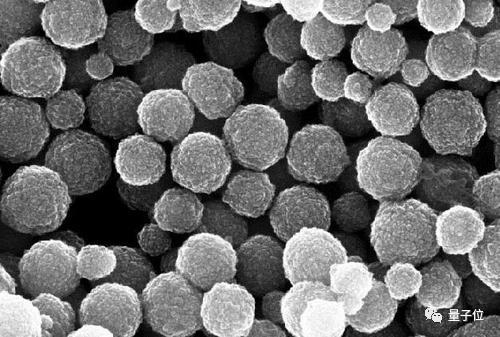 博士论文真的重要吗,博士学位到底有多强大