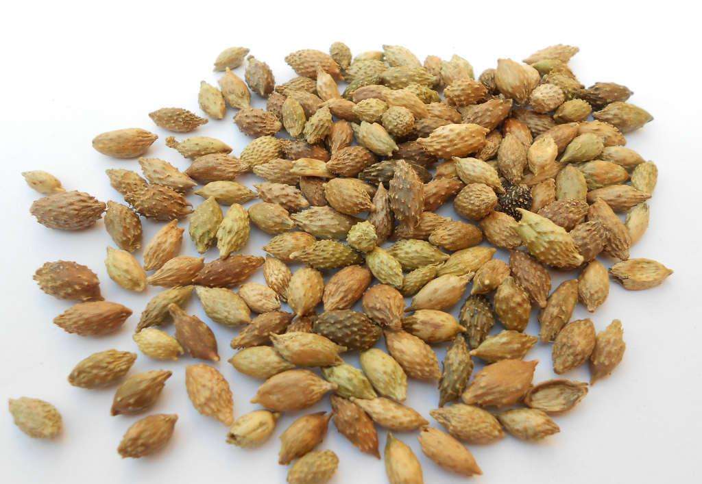 小时候玩过扎钉子吗,小时候都玩过弹力球吧