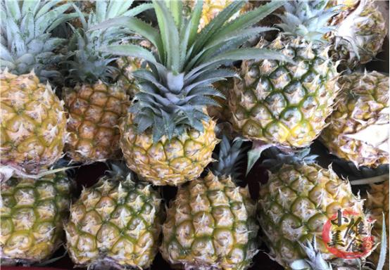 买菠萝攻略,买菠萝的正确方法
