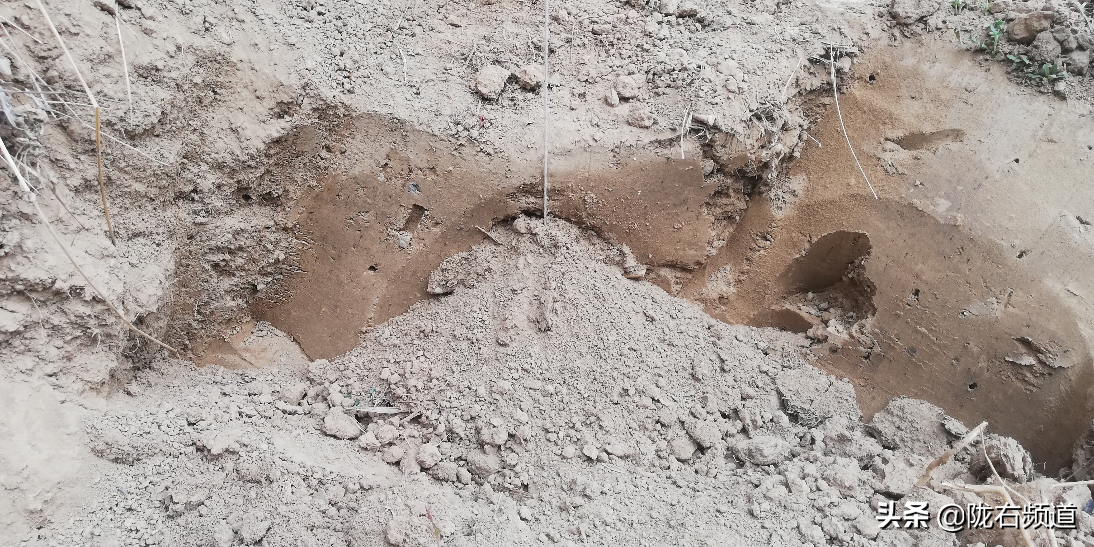 独门暗器——陇右地区那些你真没见过的捕杀鼢鼠的秘技