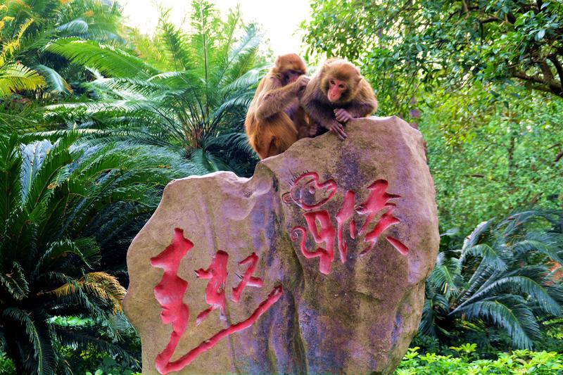 跟着老夏去桂林慢慢的自由行