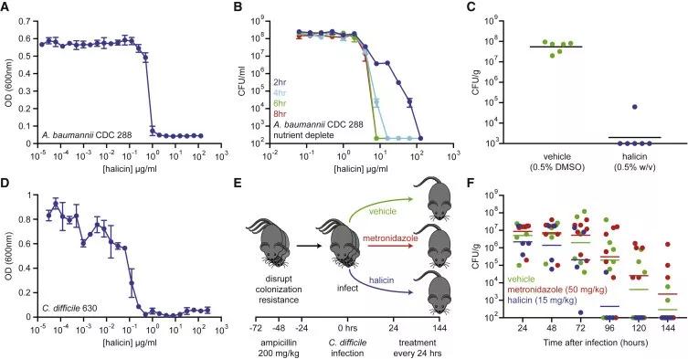 《细胞》封面：新时代！MIT发现超强抗生素，可杀灭超级耐药菌