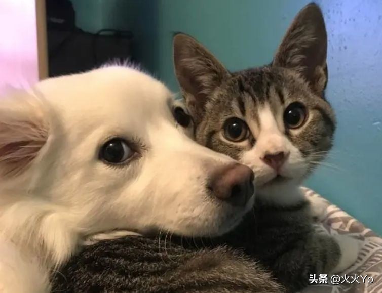 女生过生日送什么礼物比较有意义,关系较好的女生生日送什么礼物好