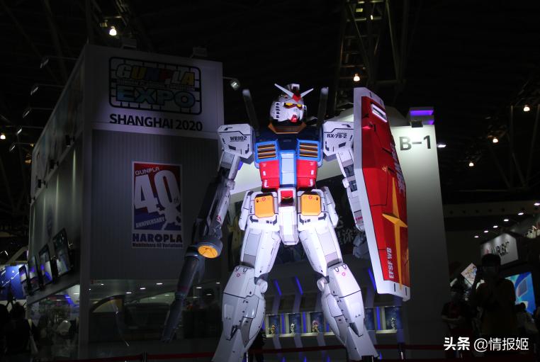 2019ccgexpo灞曚細,ccgexpo2017灞曞尯