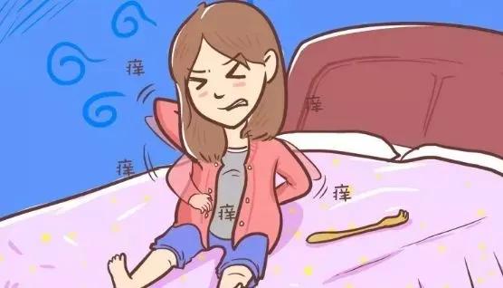 孕期皮肤瘙痒一挠就起小疙瘩,孕期胆汁淤积皮肤瘙痒的特点