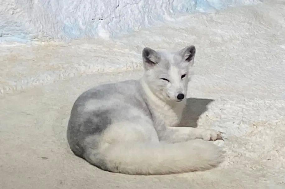 来一场说走就走的旅行珠海长隆,广东长隆及珠海长隆旅游攻略