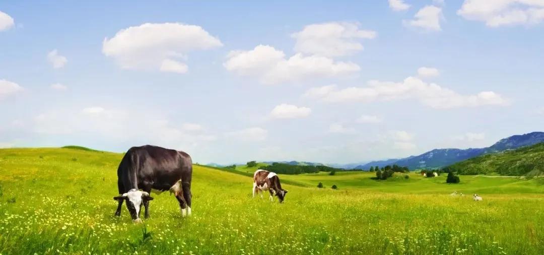 选奶粉看奶源看配方适合宝宝就好,奶粉怎么选择奶源