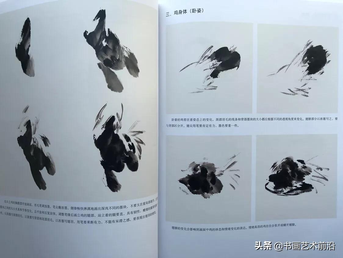 名家画鸡的画法视频,画大写意鸡名家