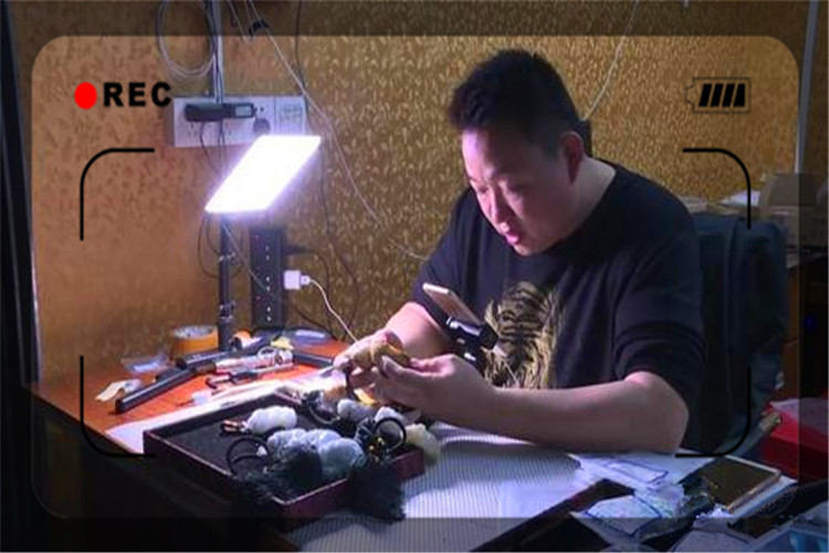 宅家里有什么可以挣钱的工作可干,宅在家有什么好的挣钱方法